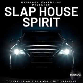 Mainroom Warehouse Slap House Spirit WAV MIDI FXP-DECiBEL screenshot