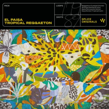 Splice Originals El Paisa Tropical Reggaeton WAV Astra Presets-FANTASTiC screenshot