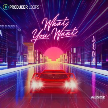 Producer Loops What You Want MULTiFORMAT-DECiBEL screenshot