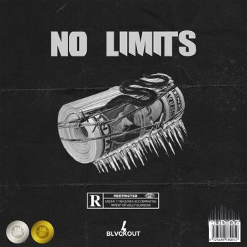 Blvckout No Limits WAV-DECiBEL screenshot