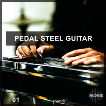 Steinberg Pedal Steel Guitar VSTSOUND screenshot