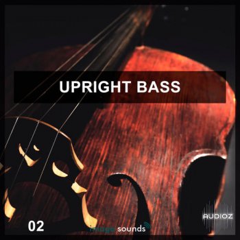 Steinberg Upright Bass 2 VSTSOUND screenshot