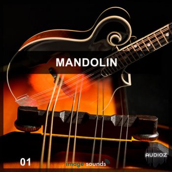 Steinberg Mandolin VSTSOUND screenshot