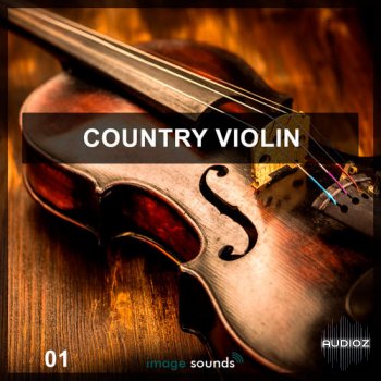 Steinberg Country Violin VSTSOUND screenshot