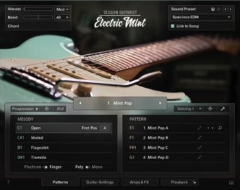 Native Instruments Session Guitarist Electric Mint KONTAKT screenshot