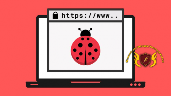 Learn Bug Bounty Hunting & Web Security Testing From Scratch