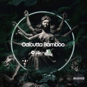 Black Octopus Sound Basement Freaks Presents Calcutta Bamboo WAV-DECiBEL screenshot