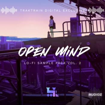 TrakTrain Open Mind Lo Fi Sample Pack vol. 2 WAV-FANTASTiC screenshot