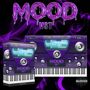 Diamond Loopz Mood VST RETAiL WiN MAC-DECiBEL screenshot