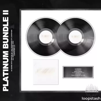 Loopstash Platinum Bundle VOL. 2 WAV AiFF Omnisphere Bank-FANTASTiC screenshot