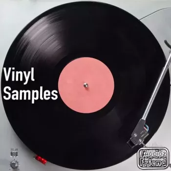 AudioFriend Vinyl Samples WAV screenshot