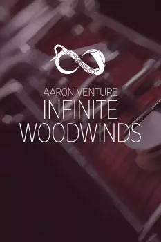 Aaron Venture Infinite Woodwinds v2.0 KONTAKT - MERRY XMAS screenshot