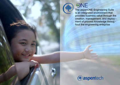 aspenONE Engineering Suite v14.2 x64