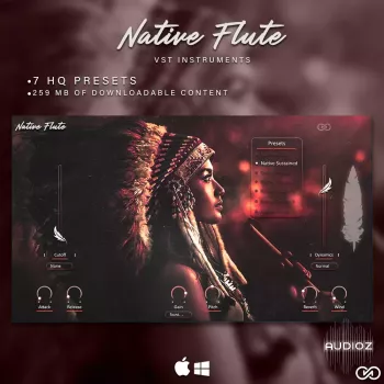 Infinite Audio Native Flute VST3/AU screenshot