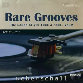 Ueberschall Rare Grooves Vol. 2 ELASTIK screenshot