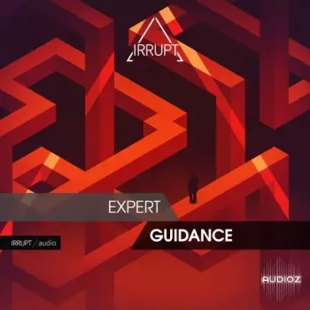 Irrupt Expert Guidance WAV-FANTASTiC screenshot