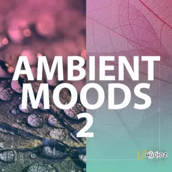 Lp24 Ambient Moods 2 WAV-FANTASTiC screenshot