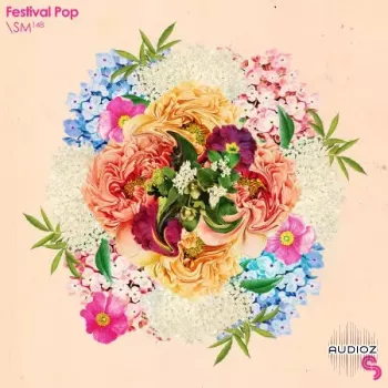 Sample Magic Festival Pop WAV-FANTASTiC screenshot