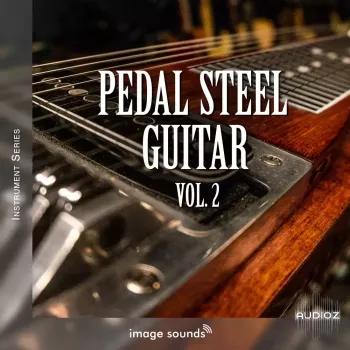 Image Sounds Pedal Steel Guitar 2 WAV screenshot