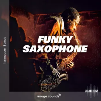 Steinberg Image Sounds Funky Saxophone VSTSOUND screenshot