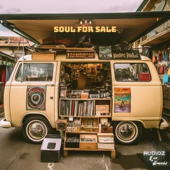 LEX Sounds Soul For Sale Resampled Vinyl Soul WAV-FANTASTiC screenshot