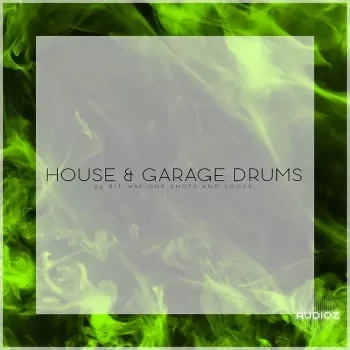 Orange Groove Samples House & Garage Drums WAV