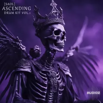 SAOL Ascending Drum Kit VOL.1 WAV MiDi FST-FANTASTiC