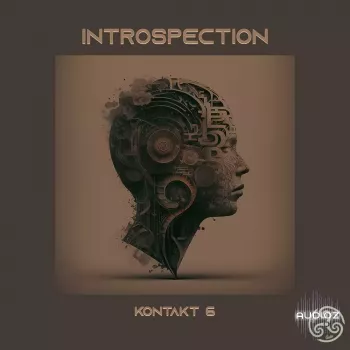 Triple Spiral Audio Introspection Kontakt 6 screenshot