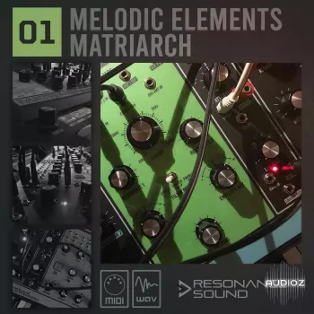 Resonance Sound Melodic Elements 01 Matriarch WAV MiDi screenshot