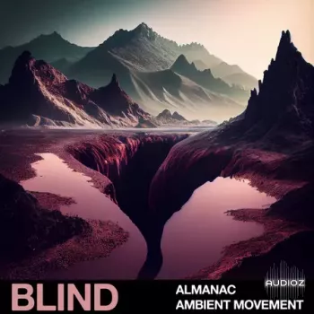 Blind Audio Almanac: Ambient Movement WAV-FANTASTiC screenshot