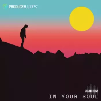 Producer Loops In Your Soul MULTIFORMAT