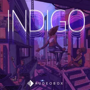 AudeoBox Indigo WAV-FANTASTiC screenshot