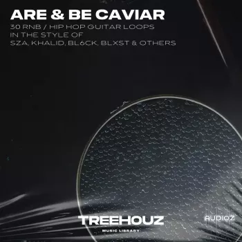 Treehouz Are & Be Caviar WAV screenshot