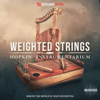 Soundiron Hopkin Instrumentarium: Weighted Strings KONTAKT screenshot