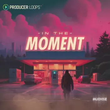 Producer Loops In The Moment MULTiFORMAT-FANTASTiC  screenshot