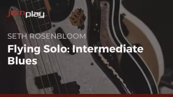 Truefire Seth Rosenbloom's Flying Solo: Intermediate Blues Tutorial screenshot