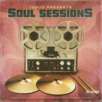 Tamuz Soul Sessions (Drum Breaks) WAV-FANTASTiC screenshot