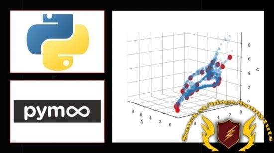 Multi-Objective Optimization with Python Bootcamp A-Z