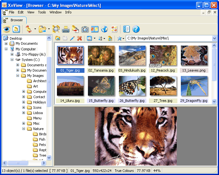 XnView 2.52.0 Complete Multilingual