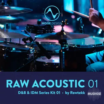 Steinberg Noise Design Raw Acoustic DnB & IDM 1 VSTSOUND