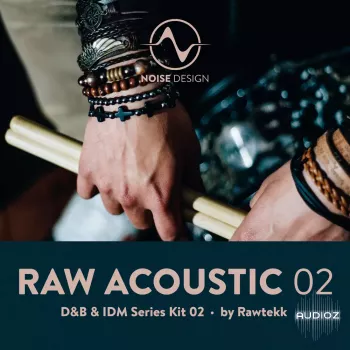 Steinberg Noise Design Raw Acoustic DnB & IDM 2 VSTSOUND