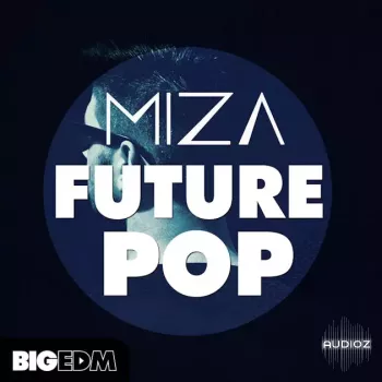 Big EDM Miza Future Pop WAV MiDi SYLENTH1 SERUM MASSiVE PRESETS screenshot