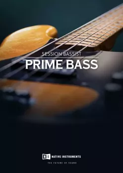 Native Instruments Session Bassist Prime Bass v1.0.2 KONTAKT screenshot