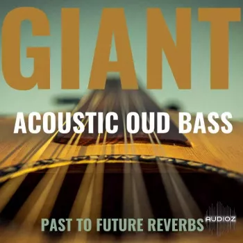 PastToFutureReverbs Giant Acoustic Round-Back Fretless Bass KONTAKT WAV screenshot