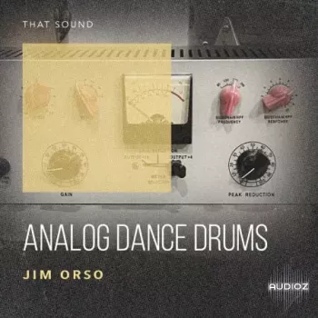 That Sound Analog Dance Drums WAV-FANTASTiC screenshot