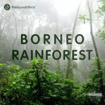 Pro Sound Effects Borneo Rainforest WAV-FANTASTiC screenshot