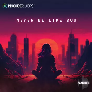 Producer Loops Never Be Like You MULTiFORMAT-FANTASTiC screenshot