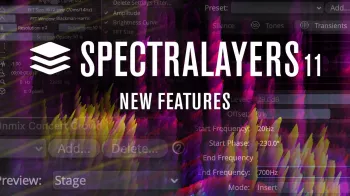 Steinberg SpectraLayers Pro v11.0.10 MacOS