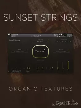 Realitone Sunset Strings v1.1 KONTAKT screenshot