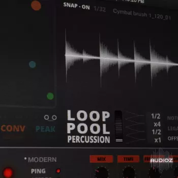 Sound Dust Loop Pool Percussion KONTAKT-ohsie screenshot
